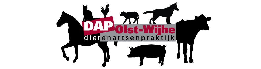Dierenartsenpraktijk Olst-Wijhe