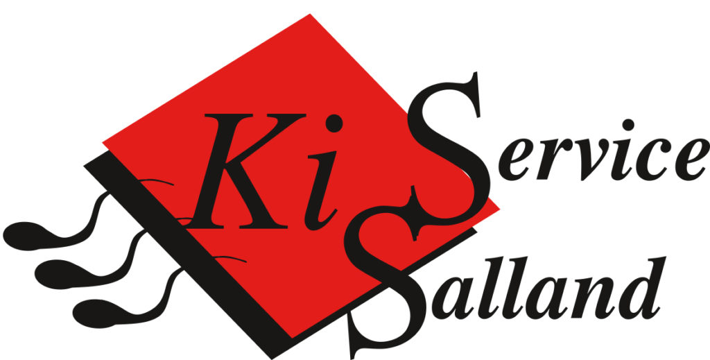 KI Service Salland