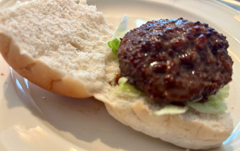 Foto van een broodje hamburger van eigen vlees