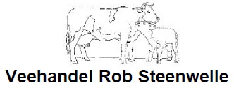 Steenwelle