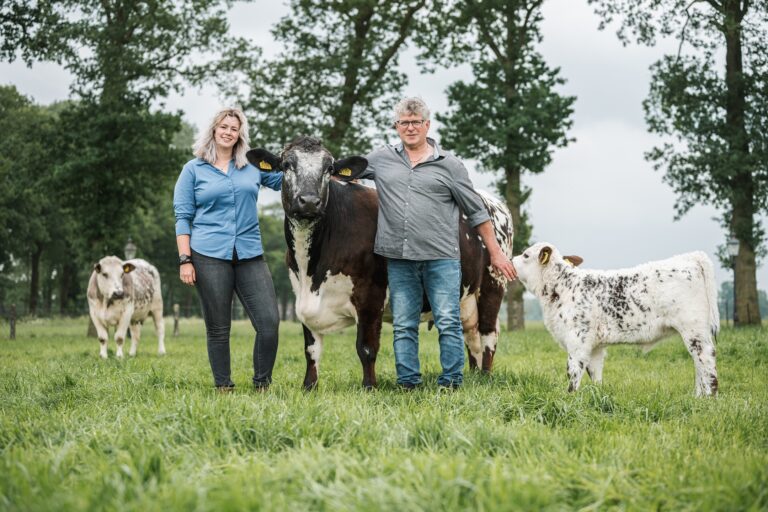 Esmee en haar vaders staan samen met een zoogkoe en kalf in de weide.
