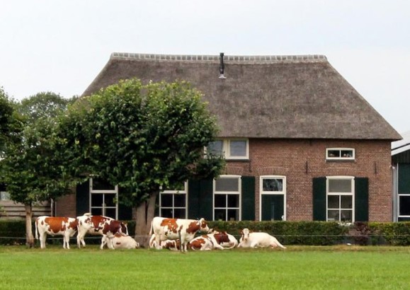 Boerderij De Riet
